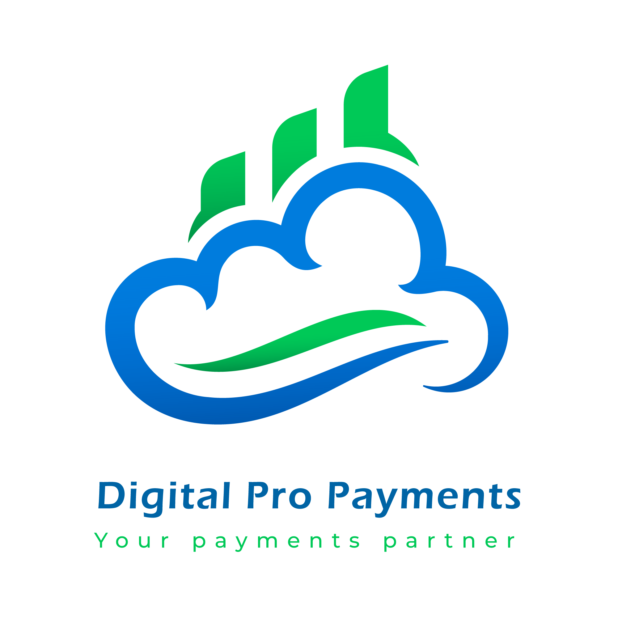 Digital Pro Payments